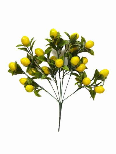 Yapay Limon Demeti