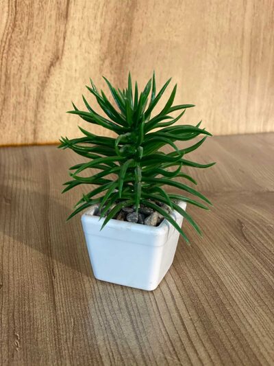 Mini Saksılı Çiçek 10 cm