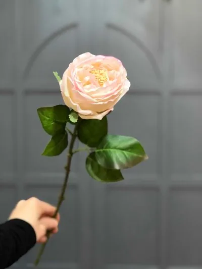 Kaliteli Ger&ccedil;ek&ccedil;i Islak Pembe Şakayık