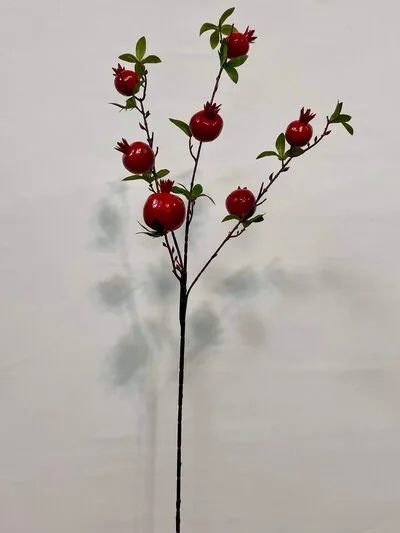 nar dalı
