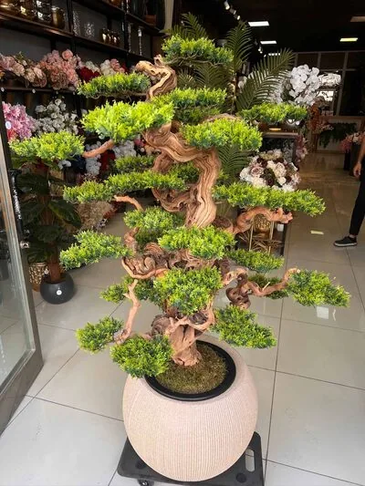 Yapay Bonsai (Bonzai) Ağacı 1.80 Mt Detay Fotoğrafı