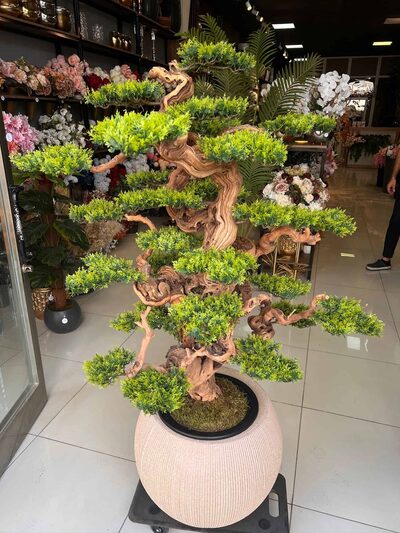 Yapay Bonsai (Bonzai) Ağacı 1.60 Mt Detay Fotoğrafı