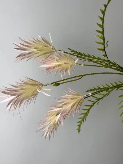 Pampas &Ccedil;i&ccedil;ek - Yapay Pampas &Ccedil;i&ccedil;eği