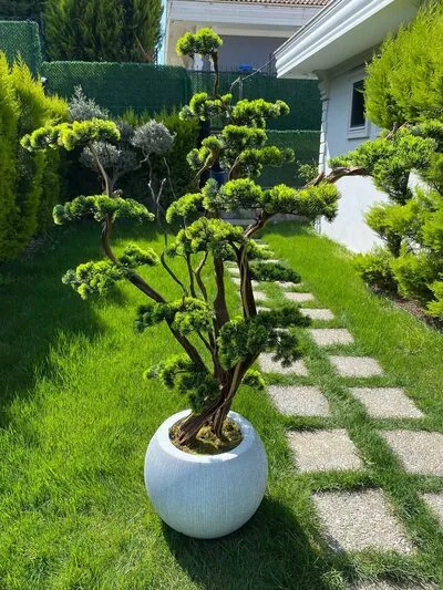L&uuml;ks Yapay Bonzai Ağacı Detaylı Fotoğrafı