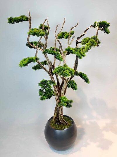 1.50 Mt Japon Yapay Bonsai Ağacı