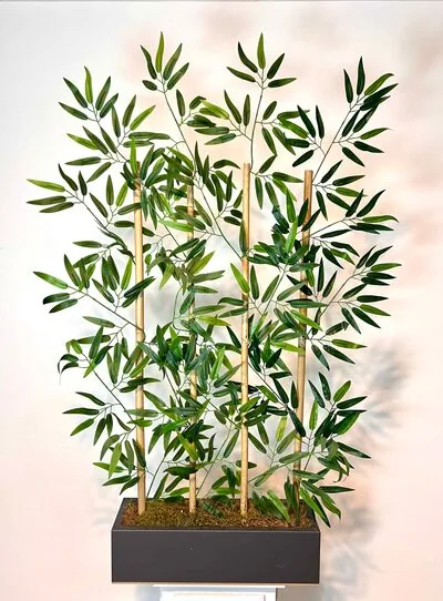 50 cm Bambu Seperat&ouml;r
