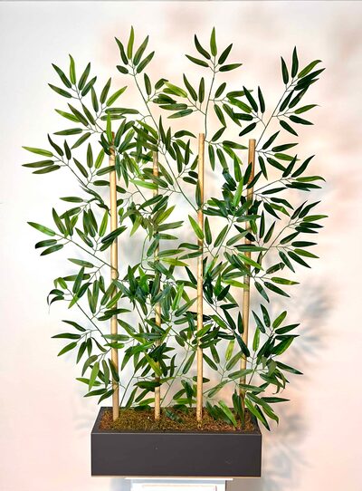 50 cm Bambu Seperatör