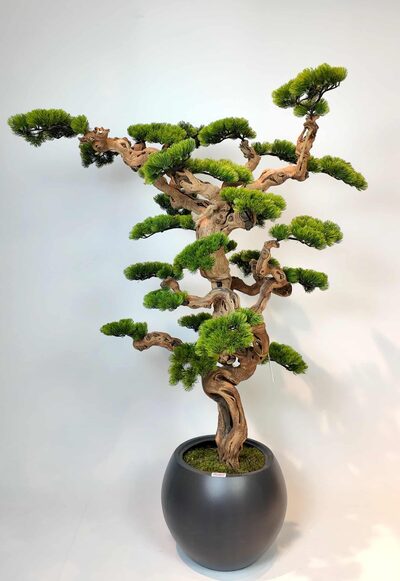 1.50 Mt Dekoratif Yapay Bonsai Ağacı