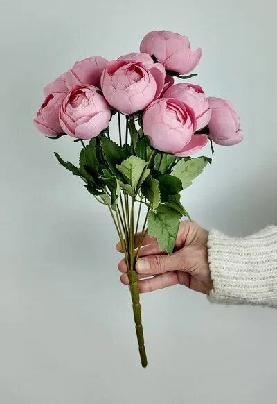 Pembe Kapalı Şakayık