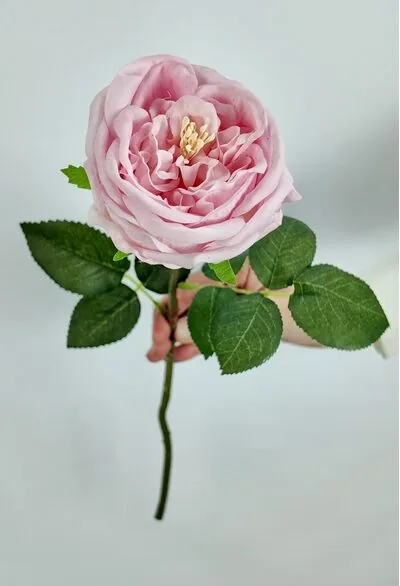 Tekli Islak Pembe Şakayık