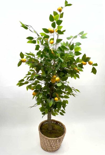 Yapay Limon Ağacı detay fotoğrafı