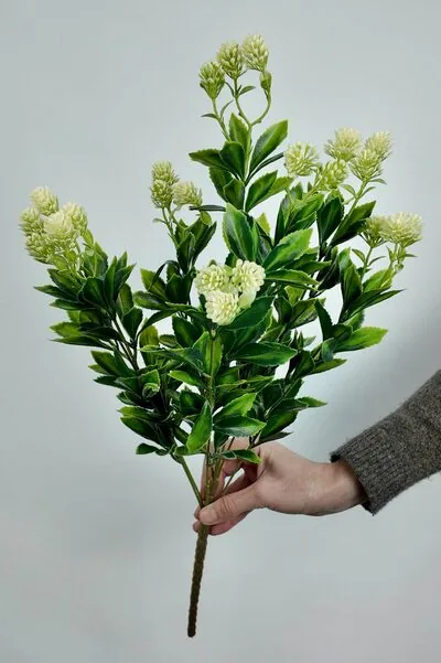 Yapay Kalanchoe demet