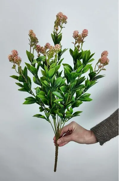 Yeşillik Demet Kalanchoe pembe