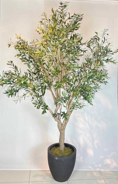 Dev Yapay Zeytin Ağacı Detaylı Fotoğrafı