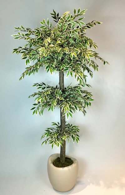 Yapay Ficus Ağacı