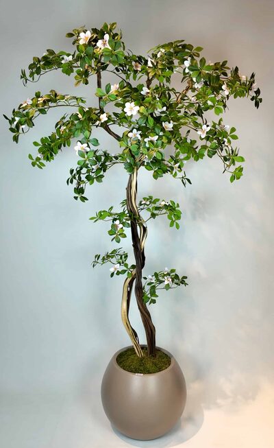 2 Mt Yapay Schefflera Ağacı