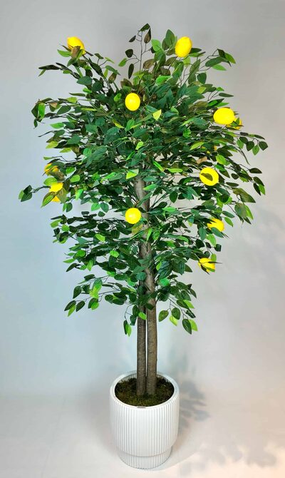 1.80 Mt. Yapay Limon Ağacı