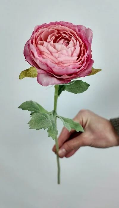 Soft Pembe Tekli Şakayık G&uuml;l