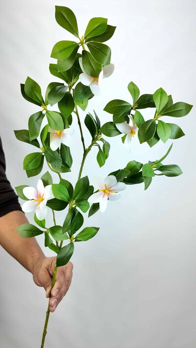 yapay Schefflera yaprak