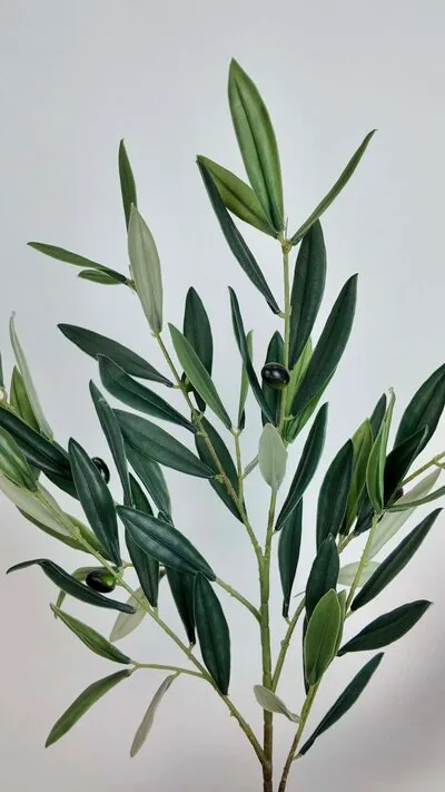 Islak Zeytin Dalı Silikon