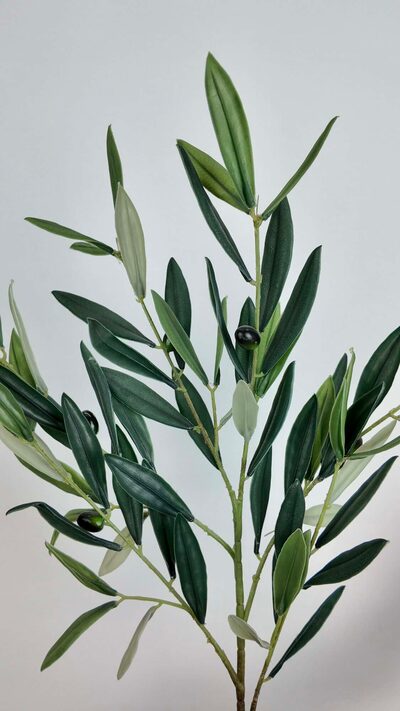Islak Zeytin Dalı Silikon