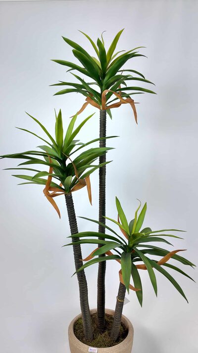 3'lü Aloe Vera Yapay Ağaç gövde detayı