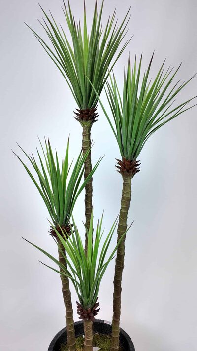 Yapay Aloe Vera Ağacı yaprak detayı