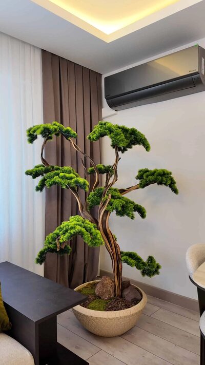 Villa Dekorasyonu İçin Bonsai Ağacı