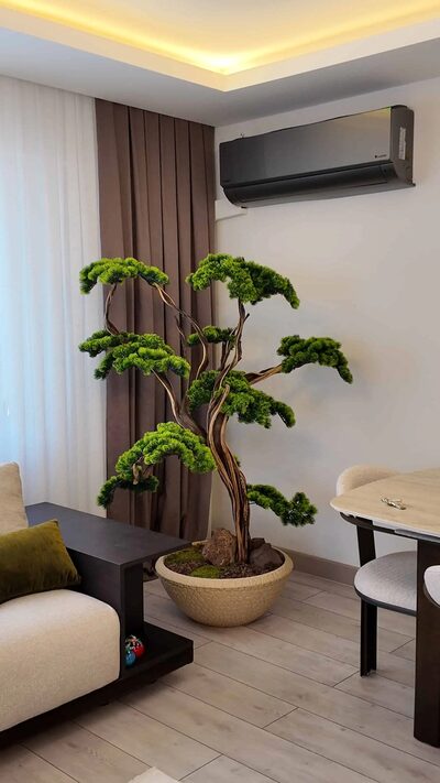 Villa Dekorasyonu İçin Bonsai Ağacı görünümü