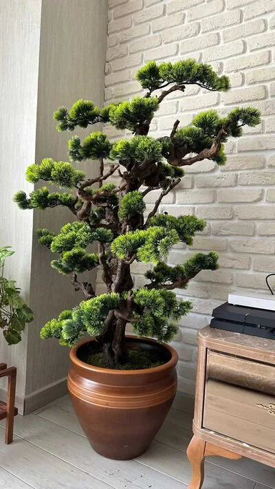 Yapay Bonsai (Bonzai) Ağacı 1.80 Mt M&uuml;şteri Resimleri 2