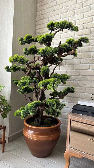 Yapay Bonsai (Bonzai) Ağacı 1.60 Mt Müşteri Resimleri 2