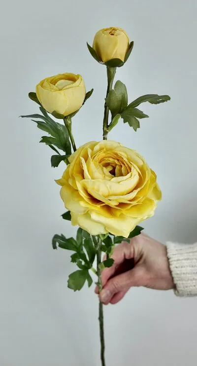 Sarı Uzun G&uuml;l Dalı