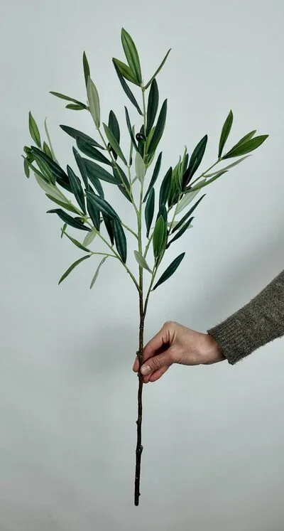 Islak Zeytin Dalı Premium