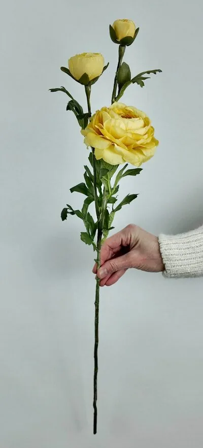 Sarı Uzun G&uuml;l Dalı