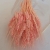 Pembe Başak Otu - Kuru Çiçek - 1406