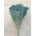 Mavi Blom Blom - BROOM BLOOM - Kuru Çiçek - 1608