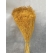 Sarı Blom Blom - BROOM BLOOM - Kuru Çiçek - 1611