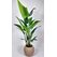 Paradisebird Yapay Ağaç Detay Fotoğrafı