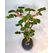 1.50 Mt Dekoratif Yapay Bonsai Ağacı