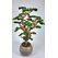 Bonsai Yapay Ağa&ccedil; Plastik Saksılı Detaylı Fotoğrafı