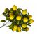 Yapay Limon Demeti