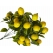 Yapay Limon Demeti
