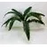 Yapay Fujer Yaprak Aşk Merdiveni