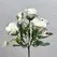 Beyaz K&uuml;&ccedil;&uuml;k Şakayık