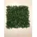 Yapay Şimşir Panel 50x50 cm