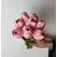 Pembe Islak Lale