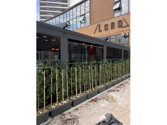 Bambu Seperatör Plastik Saksılı
