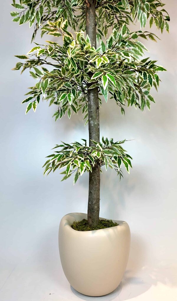 Yapay Ficus Ağacı
