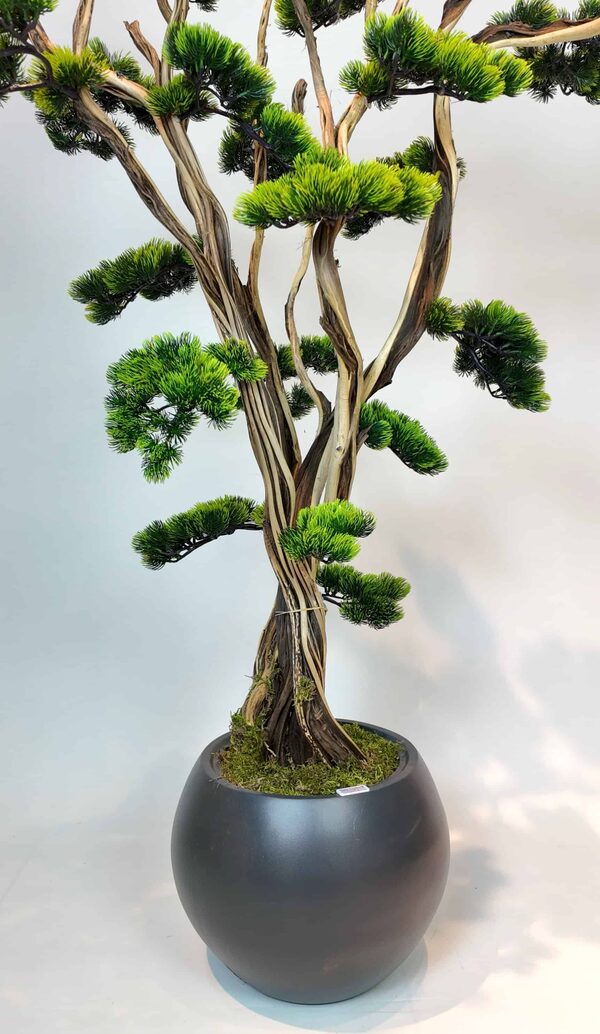 1.50 Mt Japon Yapay Bonsai Ağacı