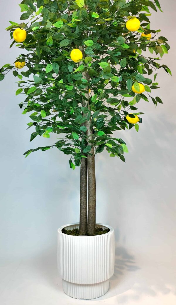 1.80 Mt. Yapay Limon Ağacı